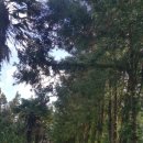 송암농원 이미지