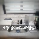 플레이독애견풀빌라 | 아침고요수목원펜션 가평 플레이독애견풀빌라 수영장까지 완벽 그잡채