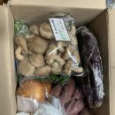 아홉색깔농부 협동조합 이미지