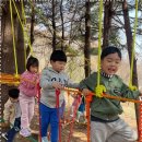 자연생활어린이집 이미지