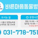 내곁에동물병원 이미지