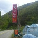 촌구석식당