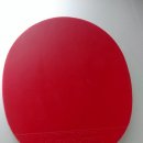 로즈그램 Daum카페