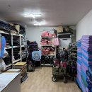 낭만강아지 | 강아지랑 한강데이트 반포한강텐트대여 낭만소풍 돗자리 후기 꿀팁까지