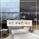 세븐일레븐 개화중앙점 | 속초 가성비호텔 마리비스타 오션레이크뷰 애견동반 숙소 후기