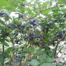 문화농장 이미지