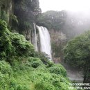 엉또김밥 이미지