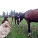 한덕목장 | 부제 : 혼자서도 잘 놀아요~) - 빌라드아토, 새별오름, 성이시돌목장, 왕따나무, 금능으뜸원해변