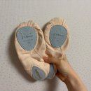 스튜디오 두달 | 강릉 엘리나 발레스튜디오, ep2_성인 입문반 강습 두달 후기 (feat.롱드잠)