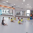 솔빛태권스쿨 이미지