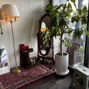 마타아시타 | 김천 맛집 : 블루리본 받은 일식 마타아시타 추천 후기