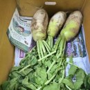 서진농장 이미지