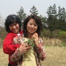 청광식물원 Daum카페