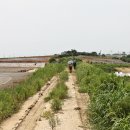 서해랑길 33코스 이미지