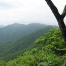 상운봉 Daum카페