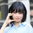 르무드헤어 이미지