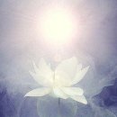 The Creator 이미지