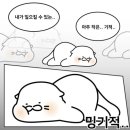 춘천하우스 네이버블로그