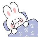 오꼬맘 이미지