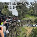 [호주]멜버른:: 퍼핑빌리 &amp; 필립아일랜드 펭귄퍼레이드 투어 오지나라 내돈내산 후기
