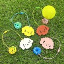 우리집강아지 이미지