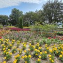 힐링정원 이미지