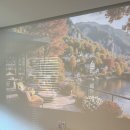 풀빌라M | 아모라 프리미엄 풀빌라 내돈내산 이용 후기 가평 가족여행 숙소 만족도 굿