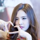 더블유더블유씨디