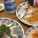 제주함덕청춘어시장 이미지