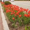 서원대로1 이미지