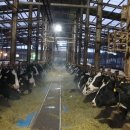 혜진목장 이미지