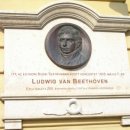 엘리제를 위하여 이미지