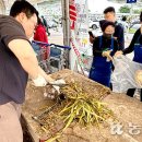 경남마늘유통 이미지