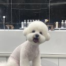 우프루프 이미지