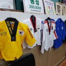 용인대 청룡 태권도 이미지