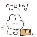 댕그리 이미지