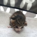 용연로 195번길 이미지