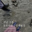 황토갯벌용산마을 | [전남 고흥 숙소 추천] 갯벌 체험 해루질 숙소 나로우주캠핑장 (구.동포마을갯벌체험장)