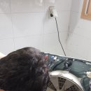 신애원 뉴스사천