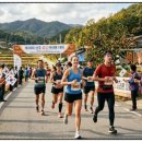 2026 상주 곶감 마라톤 접수 총정리 🍂 풀코스·하프·10km 일정 공개