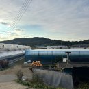 영광포도원 이미지