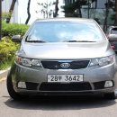 에코포르테 이미지