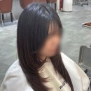 압구정 미용실 제오헤어, 은혜 스타일리스트 하이레이어드컷 후기