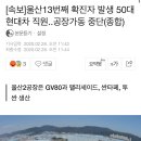 [속보]울산13번째 확진자 발생 50대 현대차 직원..공장가동 중단(종합) 이미지