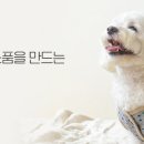 스타일팩토리 이미지