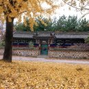 정려한