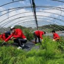 인피니티 플라잉 이미지