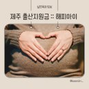 해피아이어린이집 | 2024년 제주 출산혜택 :: 제주 출산지원금 해피아이 정책