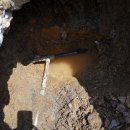 팔봉주유소 이미지