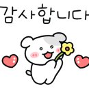 델루나뷰티 이미지